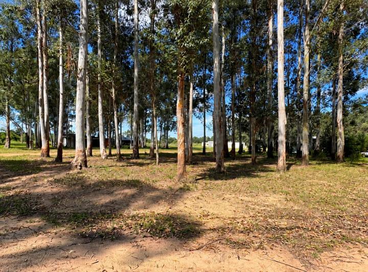 Terreno · 900m²