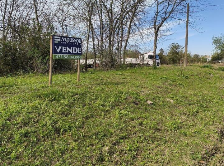 Terreno · 350m²