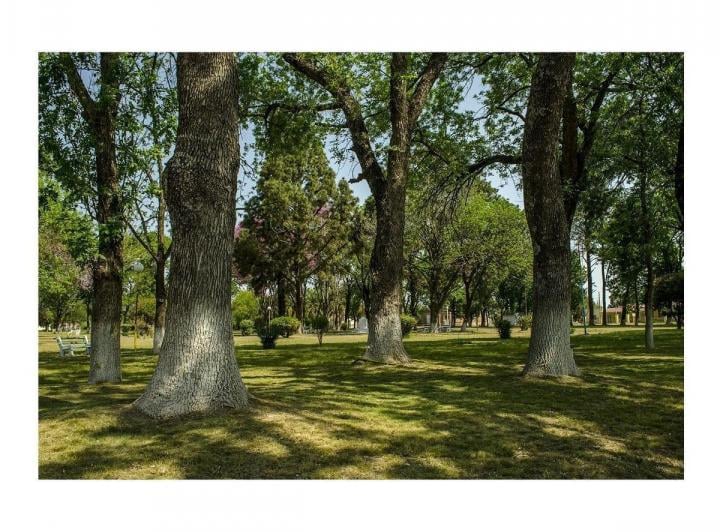 Terreno · 200m² · 4 Ambientes · 2 Cocheras