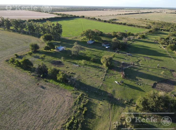 Campo · 150ha · 3 Dormitorios