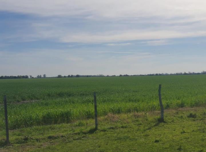 Campo · 2860000m²