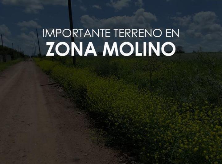 Terreno · 1ha
