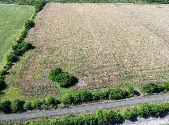 Campo · 220000m²