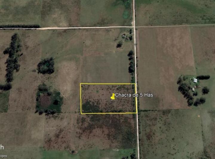 Campo · 45000ha