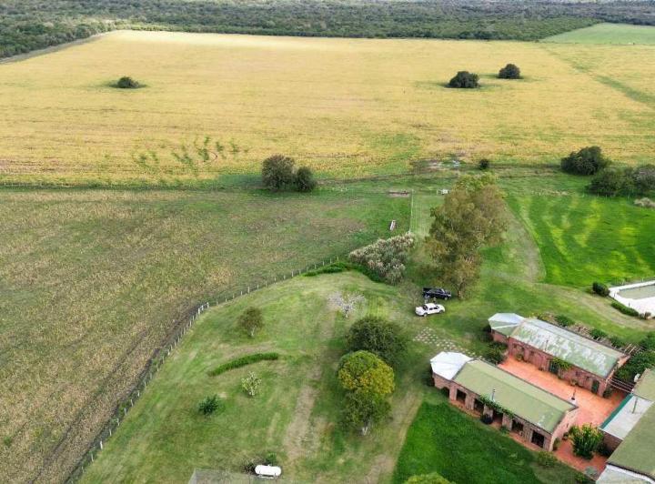 Campo · 1000m²