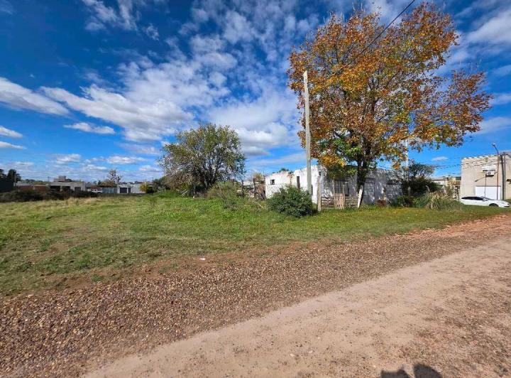 Terreno · 365m²