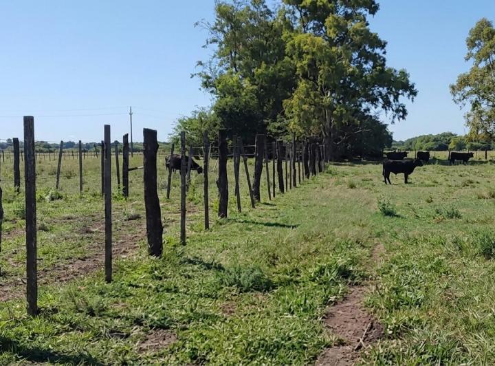 Campo · 1000000m² · 3 Dormitorios