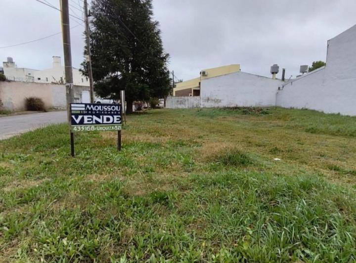 Terreno · 248m²
