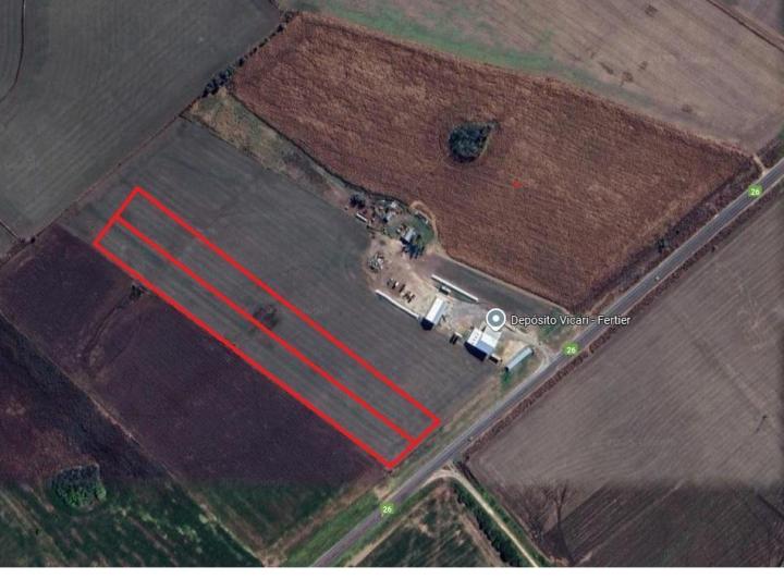 Campo · 40500ha