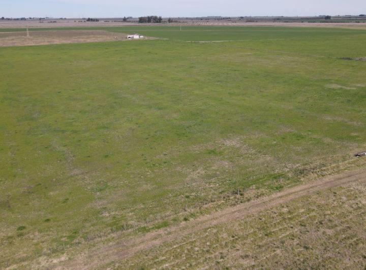Campo · 10m²