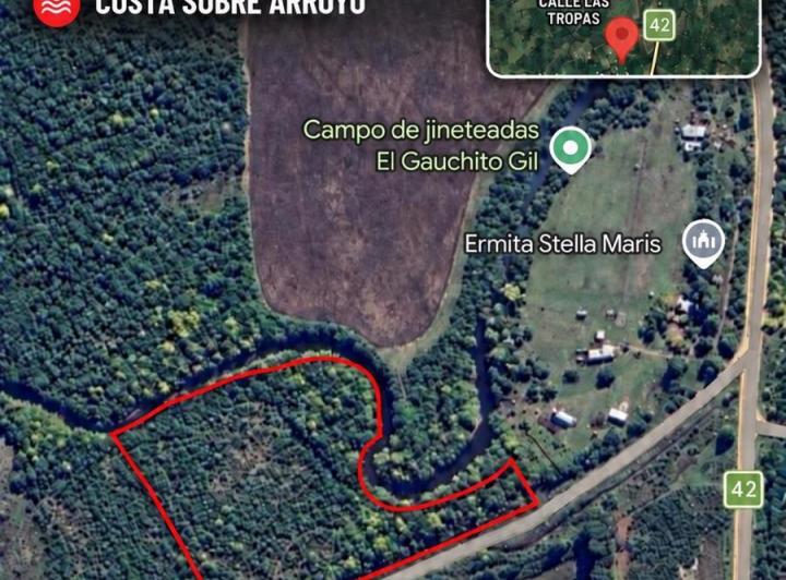 Campo · 20000ha