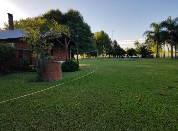 Campo · 100ha