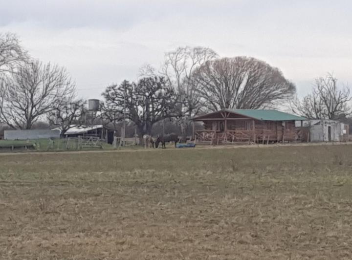Campo · 80m² · 3 Ambientes