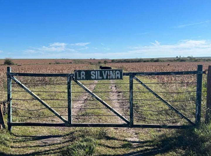 Campo · 70m²