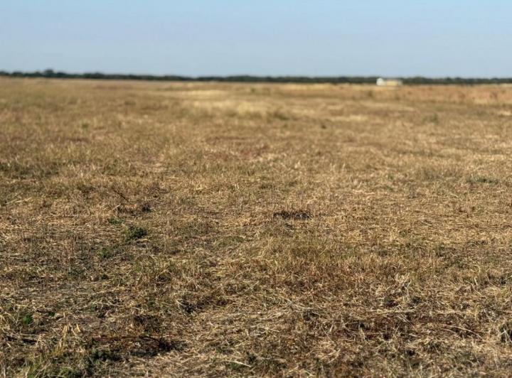 Campo · 1230000m²