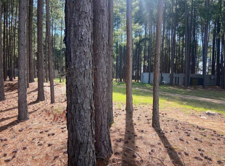Terreno · 800m²