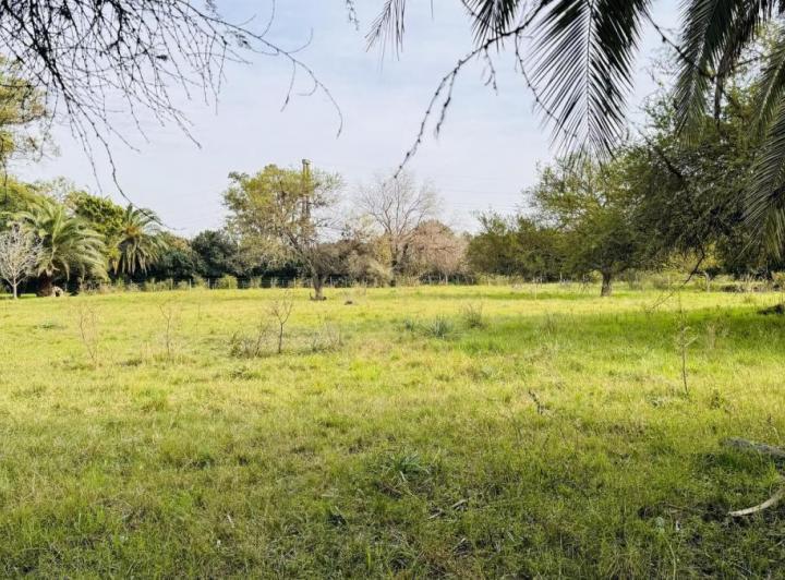 Terreno · 3600m²