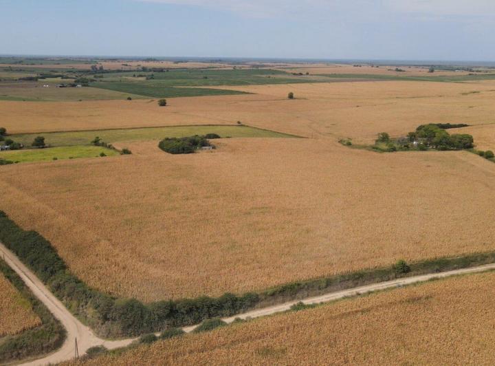 Campo · 205000m²