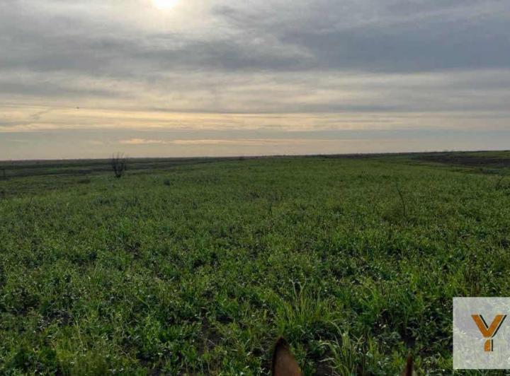 Campo · 9870000m²