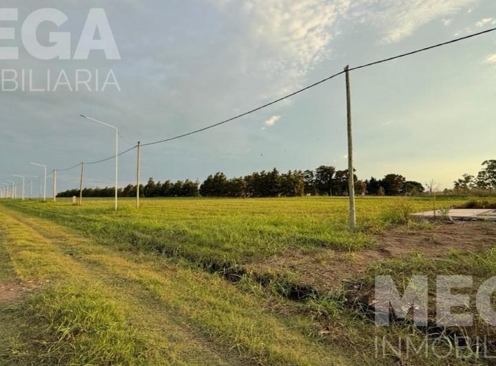 Terreno · 1000m²