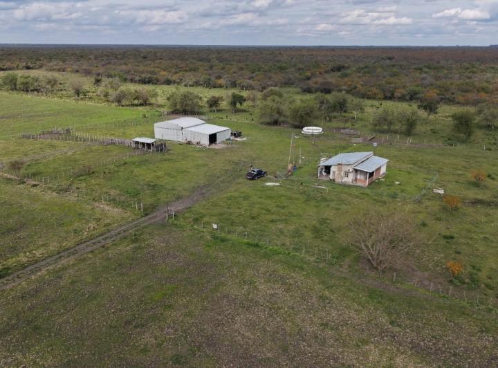 Campo · 162ha