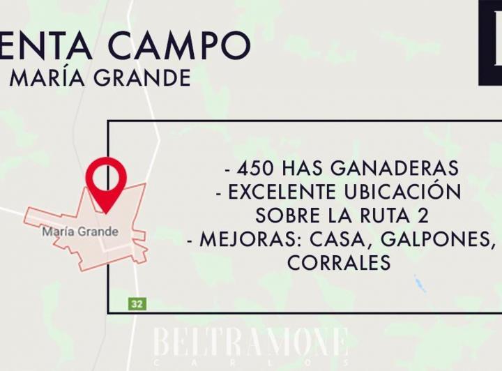 Campo · 450m² · 1 Ambiente