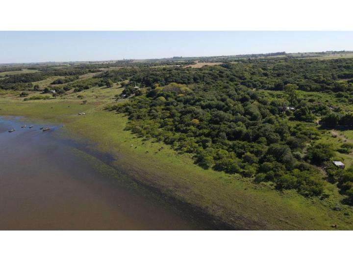 Campo · 100000m²