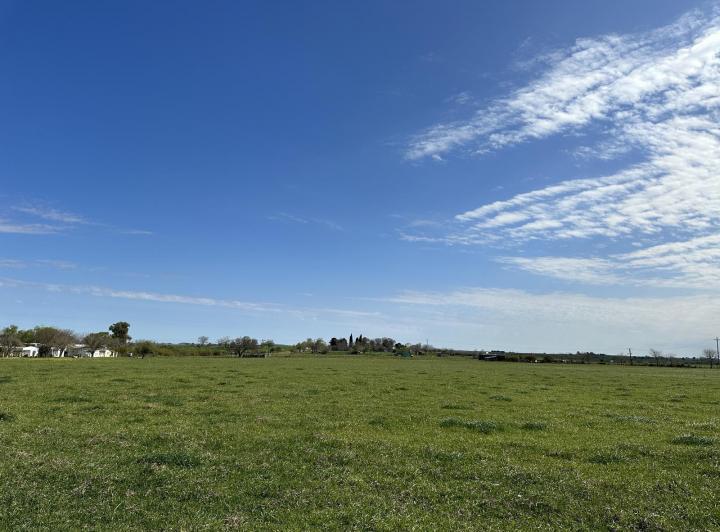 Terreno · 30250m²