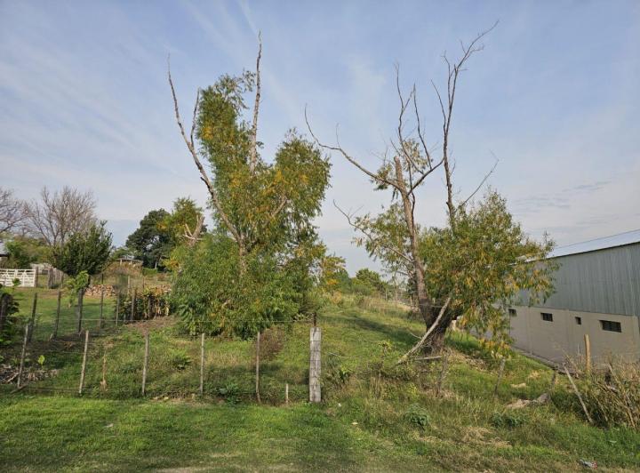 Terreno · 2286m²