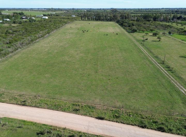Campo · 60m² · 3 Ambientes