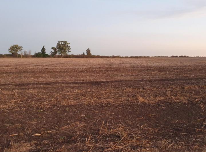 Campo · 88m²