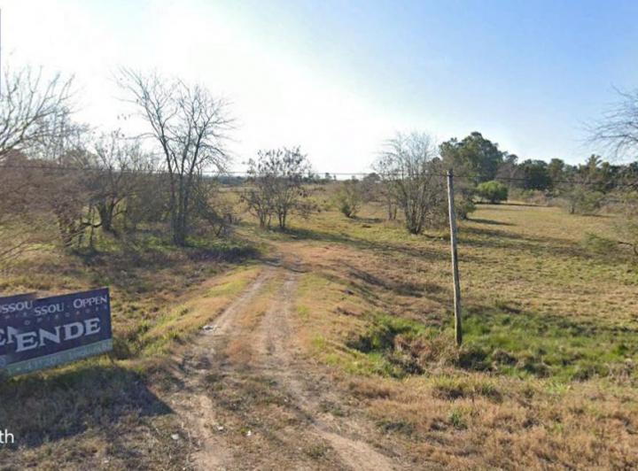 Campo · 5000m²