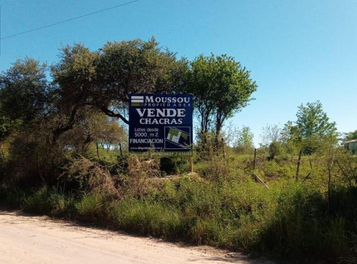 Campo · 90m²
