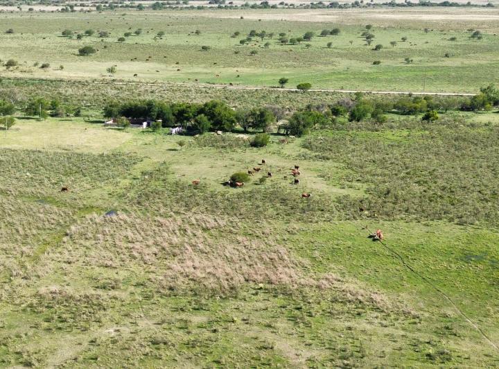 Campo · 200000m²