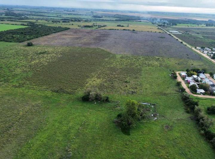 Campo · 480000m²
