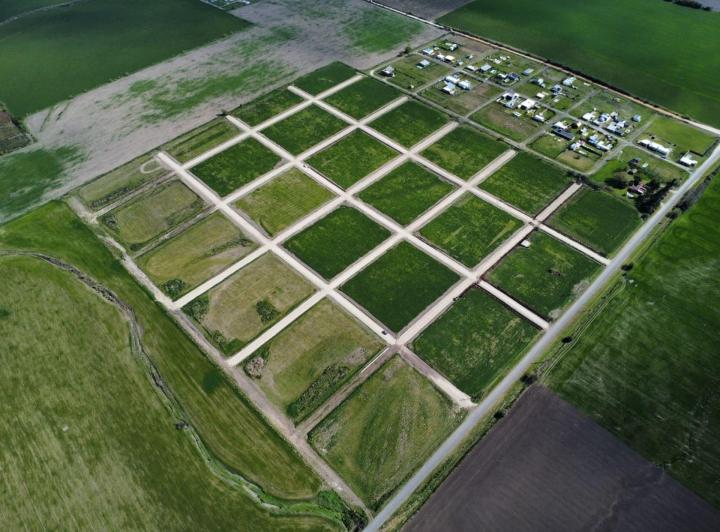 Terreno · 300m²