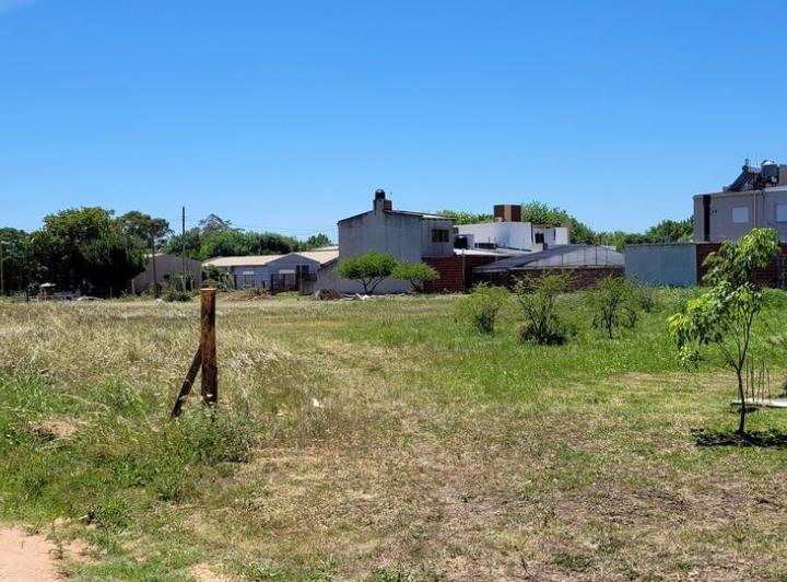Terreno · 241m²
