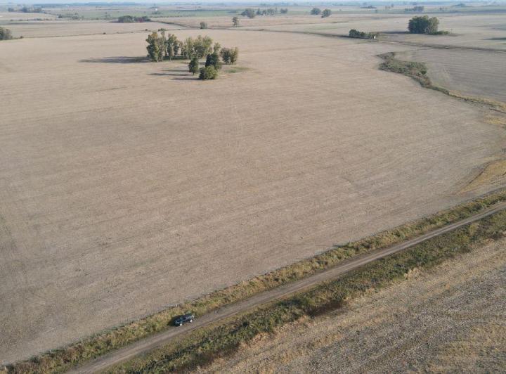 Campo · 220m²