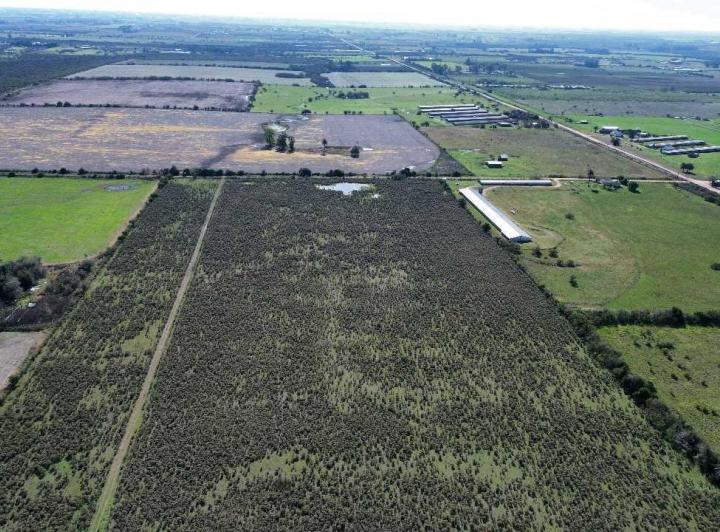 Campo · 120000m²