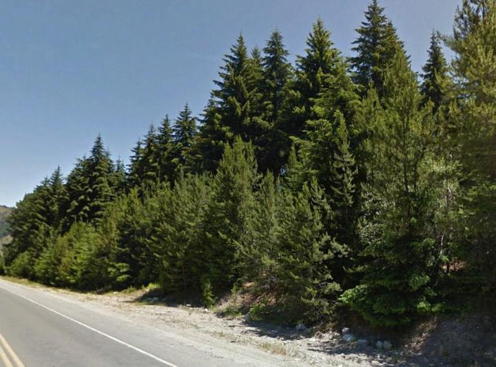 Campo · 10000m²