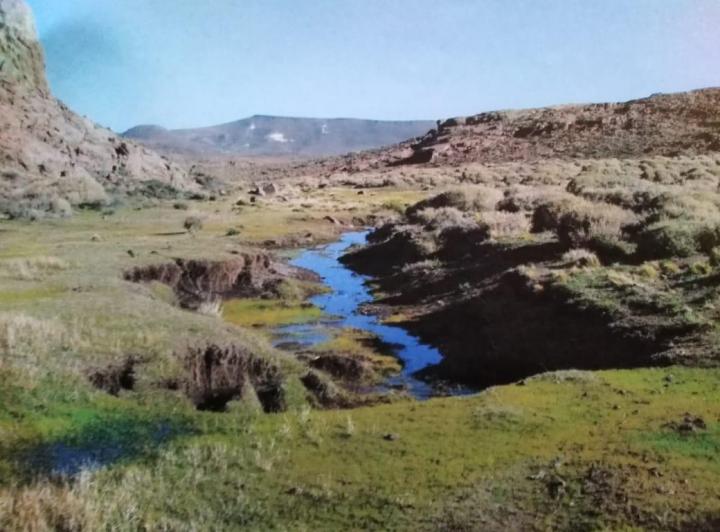 Campo · 200m² · 3 Ambientes · 2 Cocheras
