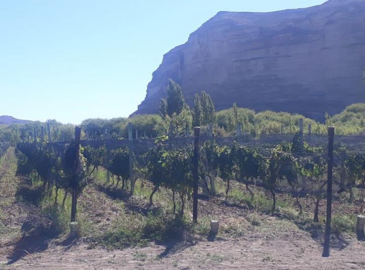 Campo · 4 Ambientes · 1 Cochera