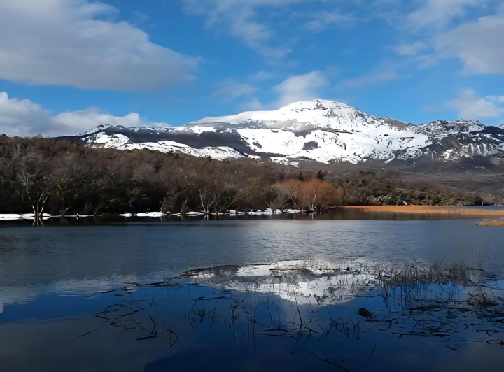 Campo · 1ha