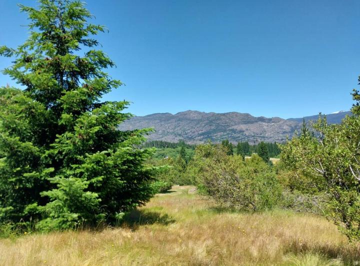 Campo · 23000m²