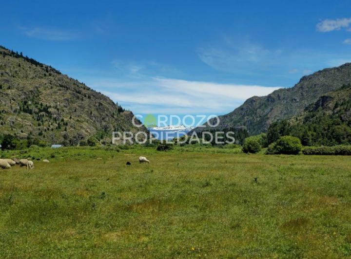 Campo · 10ha