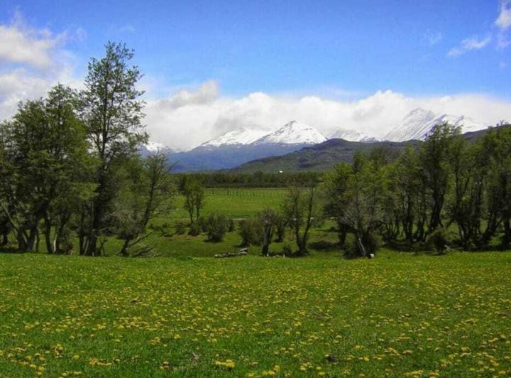 Campo · 28000ha