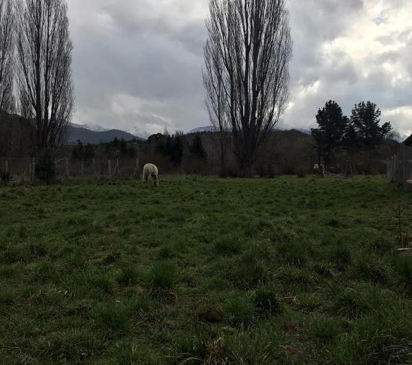 Terreno · 636m²