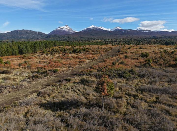 Terreno · 10000m²