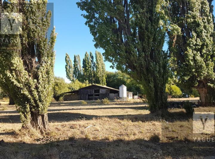 Campo · 1100ha · 7 Ambientes · 6 Cocheras