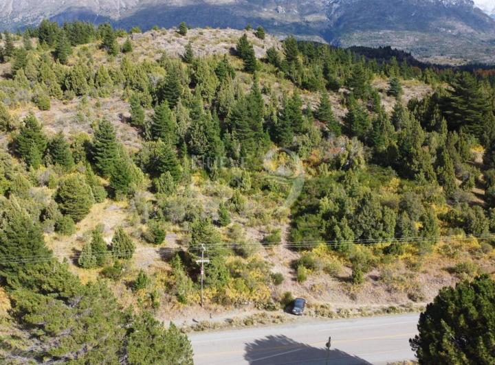 Terreno · 118700m²